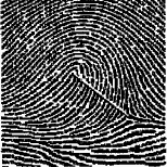 Рис. 2. Петля