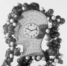 Фотоколлаж В.БРЕЛЯ