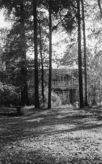 wpeCA.jpg (32079 bytes)