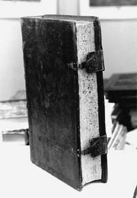 Фото А.КОЗИНА