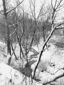 Ручей Здоровец